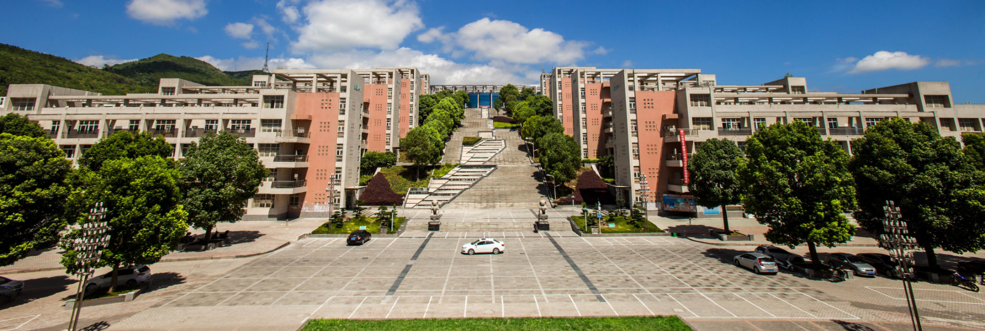 qy球友会